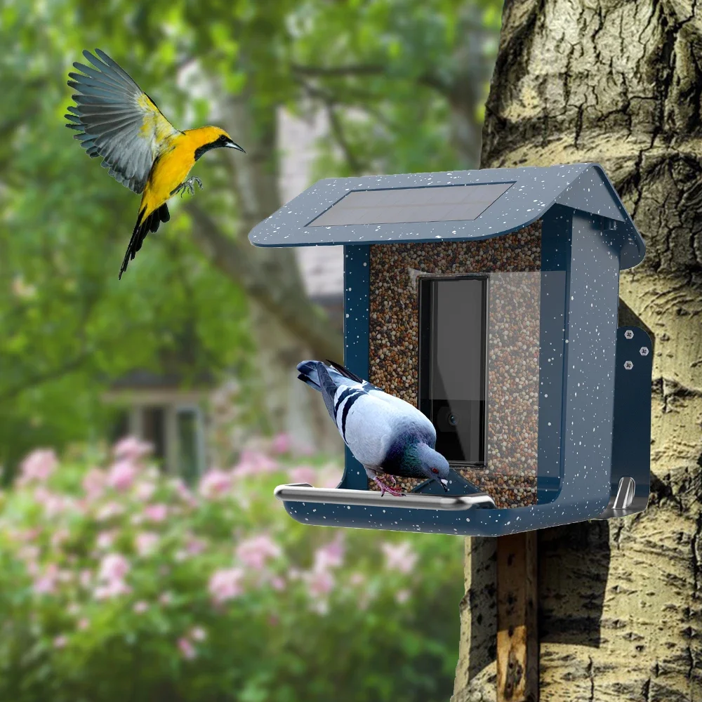 Solar Powered Outdoor Smart AI Recognition Bird Feeder with camera