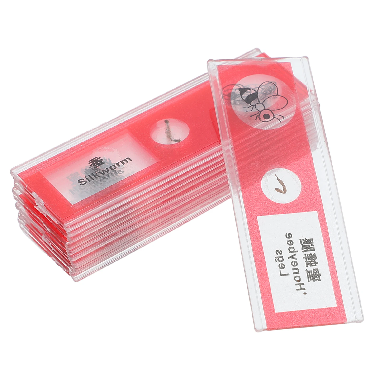 

12pcs Biology Prepared Microscope Slides Kit Animal Plant Insect Cells Samples Collection For Kids Adults Laboratory Teaching