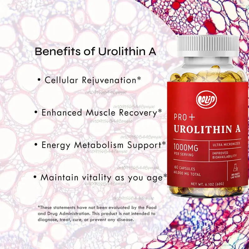 Urolithin A Capsules -1000 mg, 60 capsules for advanced cellular health and vitality, healthy aging, 60000 mg ultrafine powder