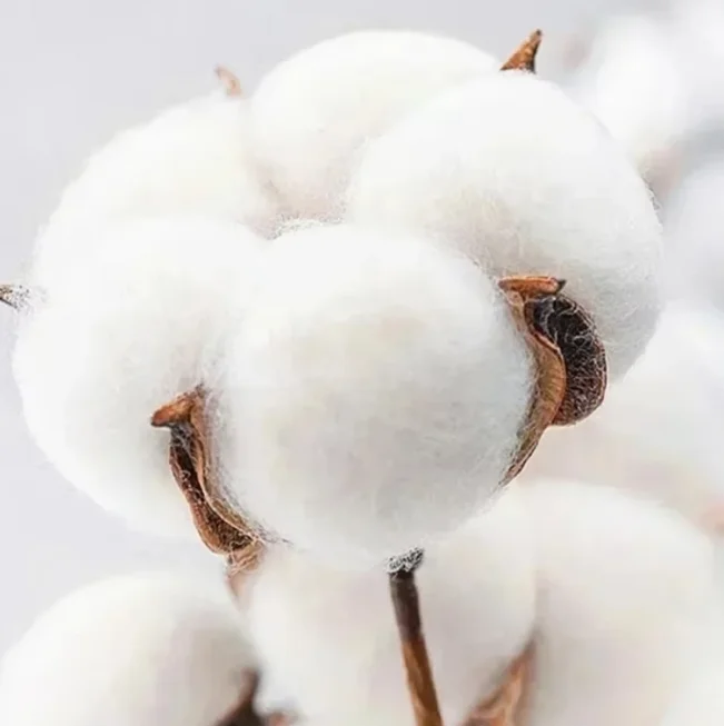 Rzadka koszulka z tekstami piosenek Paramore Decode, męska/damska, rozmiar L, Twilight Hot Topic, oversize, bawełniana, letnia odzież, krótki rękaw