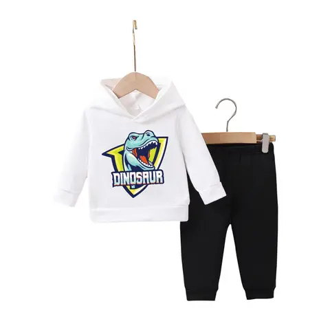 IURNXB Kinder-Sweatsuits mit Dinosaurier-Aufdruck, 2-teiliges Kinderkleidungsset, lässiges Baby-Kapuzenpullover, Oberteil, Hose, Outfits, Spielbekleidung, 1–6 Jahre