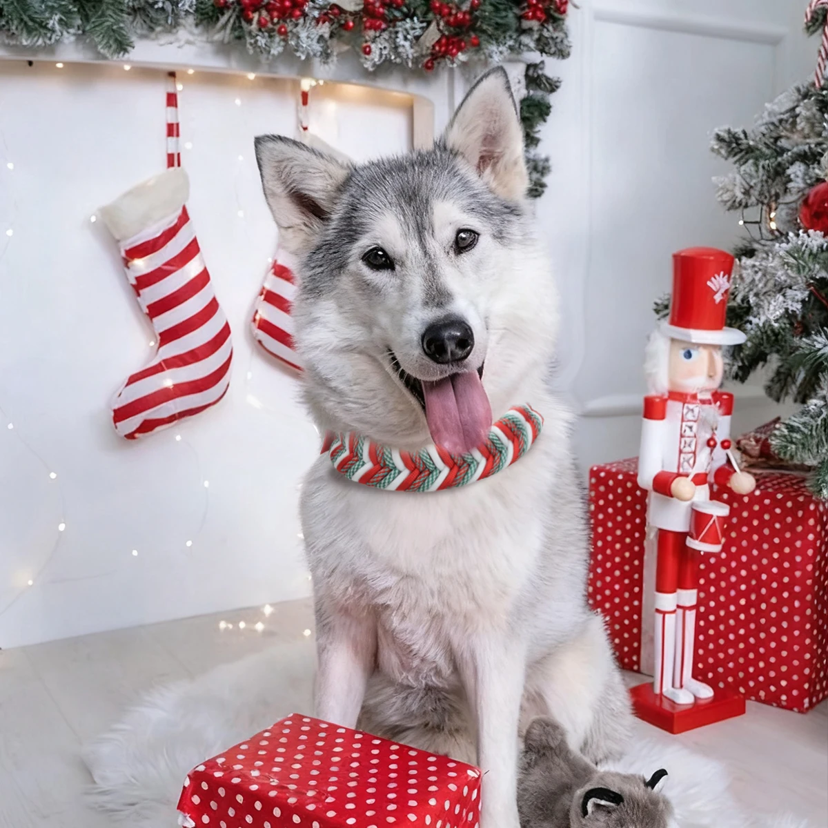 Strapazierfähiges Nylon-Hundehalsband für Weihnachtsgeschenke mit großem Mittel- und Welpenzubehör, modisches, verstellbares, farbenfrohes Gurtband – Detail 8