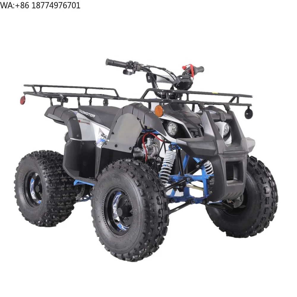 Tao Motor 110cc 125cc Customized Steel Tube Automatic Atv Utv Parts Accessories 150cc Atm Gearbox 150cc Engine 150cc Motorcycle