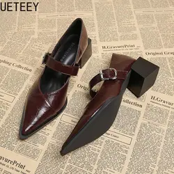 Designer Vintage Pointed Toe Women Mary Jane Shoes Fashion Shallow Buckle Shoes Spring Ladies Elegant Dress Thick Heel Shoes