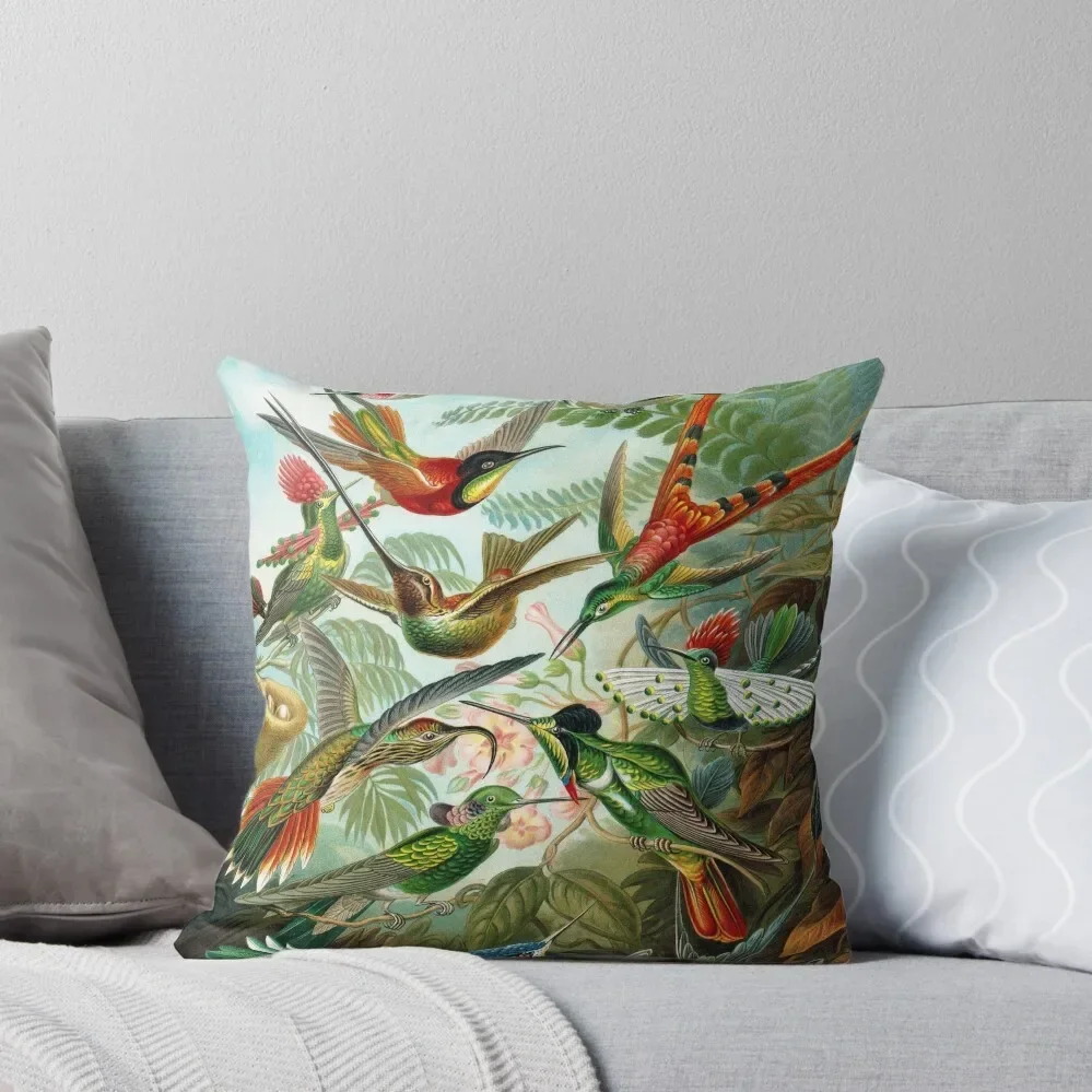 Hummingbirds - The Bright Jewels of the Bird World Throw Pillow pillow cover christmas christmas decorations 2024 Pillow