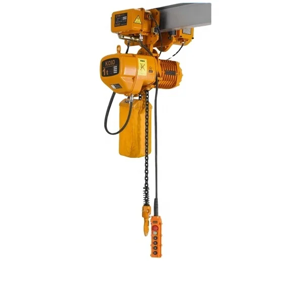 Electric Hoist 110v