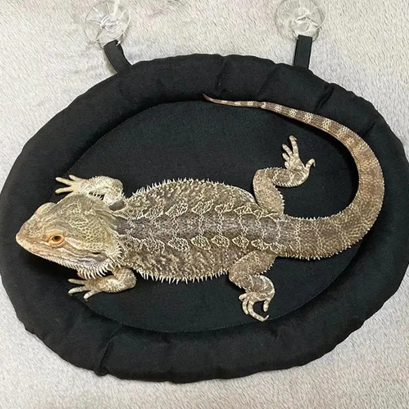 Car Lizard Hammock Soft Portable Car Dashboard Bearded Dragon Hammock Bearded Dragon Supplies Lightweight Reptile Bed With