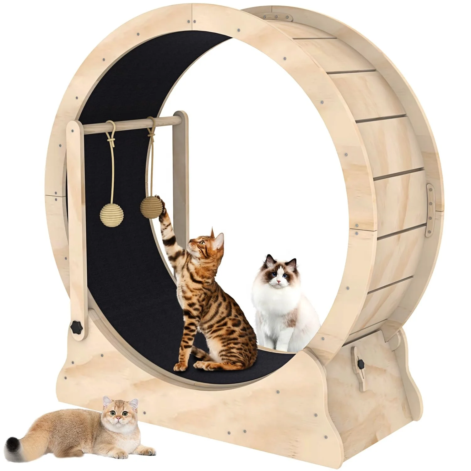 Heute hot selling Cat Toys Circle Track Interactive Pet high quality wood cat exercise wheel cats treadmill cat running wheel