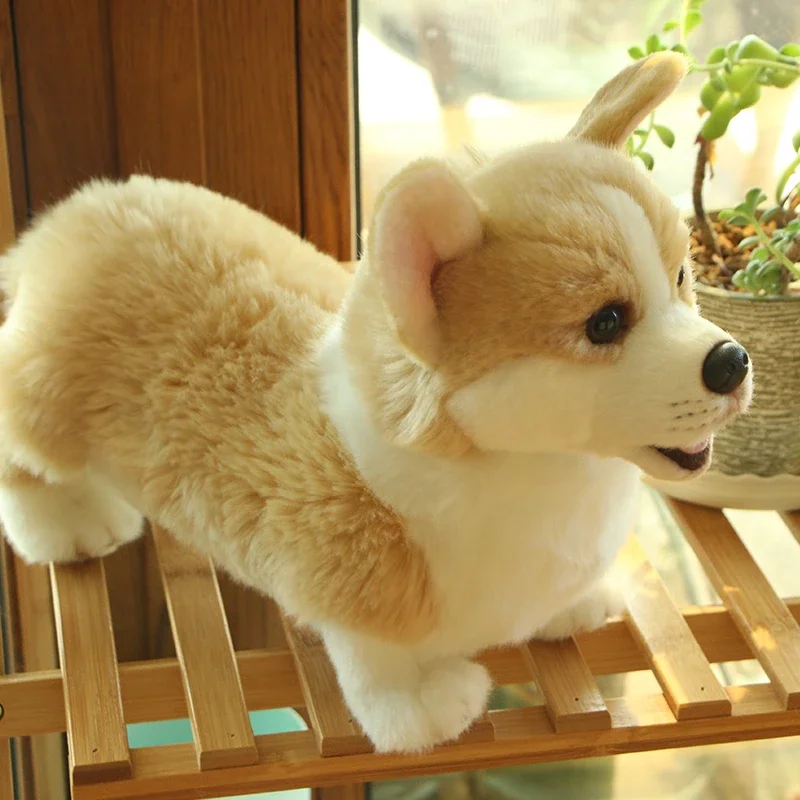 Cute Welsh Corgi Dog Plush Toy Pembroke Puppies Real Life Stuffed Animal Soft Simulation for Children Kids Doll Birthday Gifts