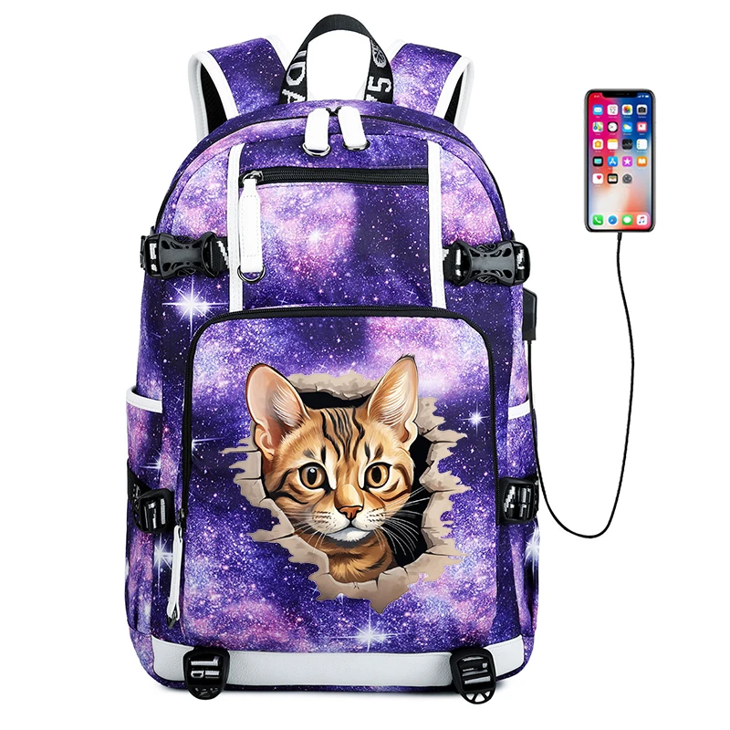 3Dスフィンクス猫漫画スクールバッグバックパックティーンエイジャー向け15.6インチバックパック男性ブックバッグ新学期バッグパックギフト