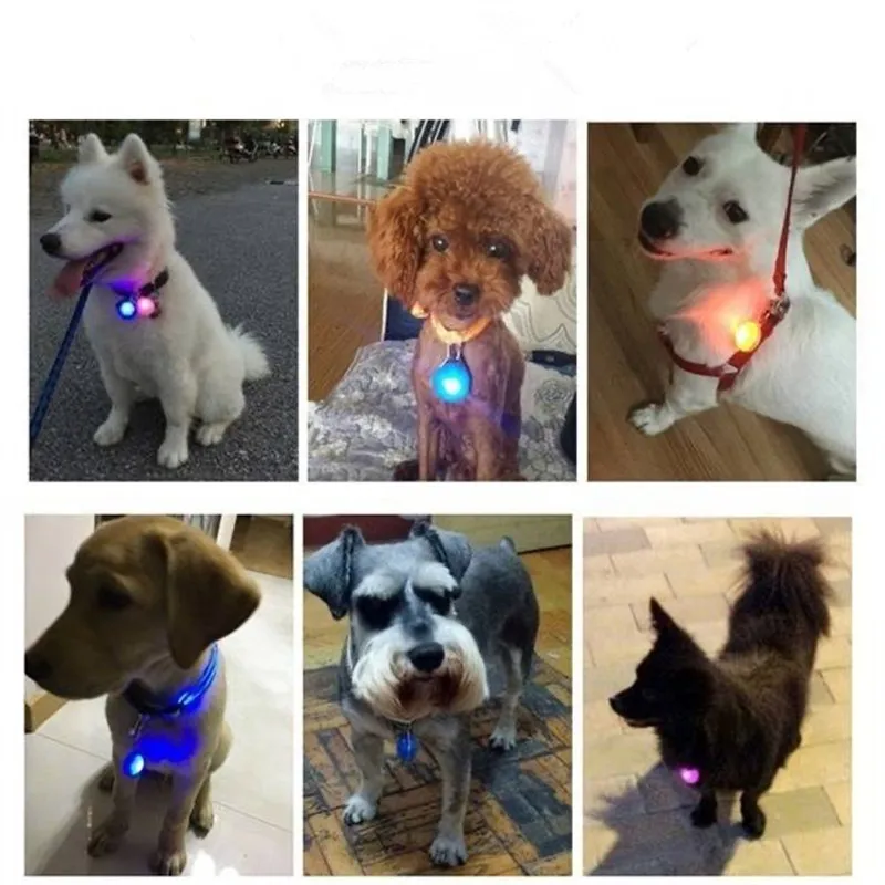 LED Lights Night Safety Dog Collar Glowing Pendant Pet Accessories Glow In The Dark Bright Necklace Flashing Light Pendant