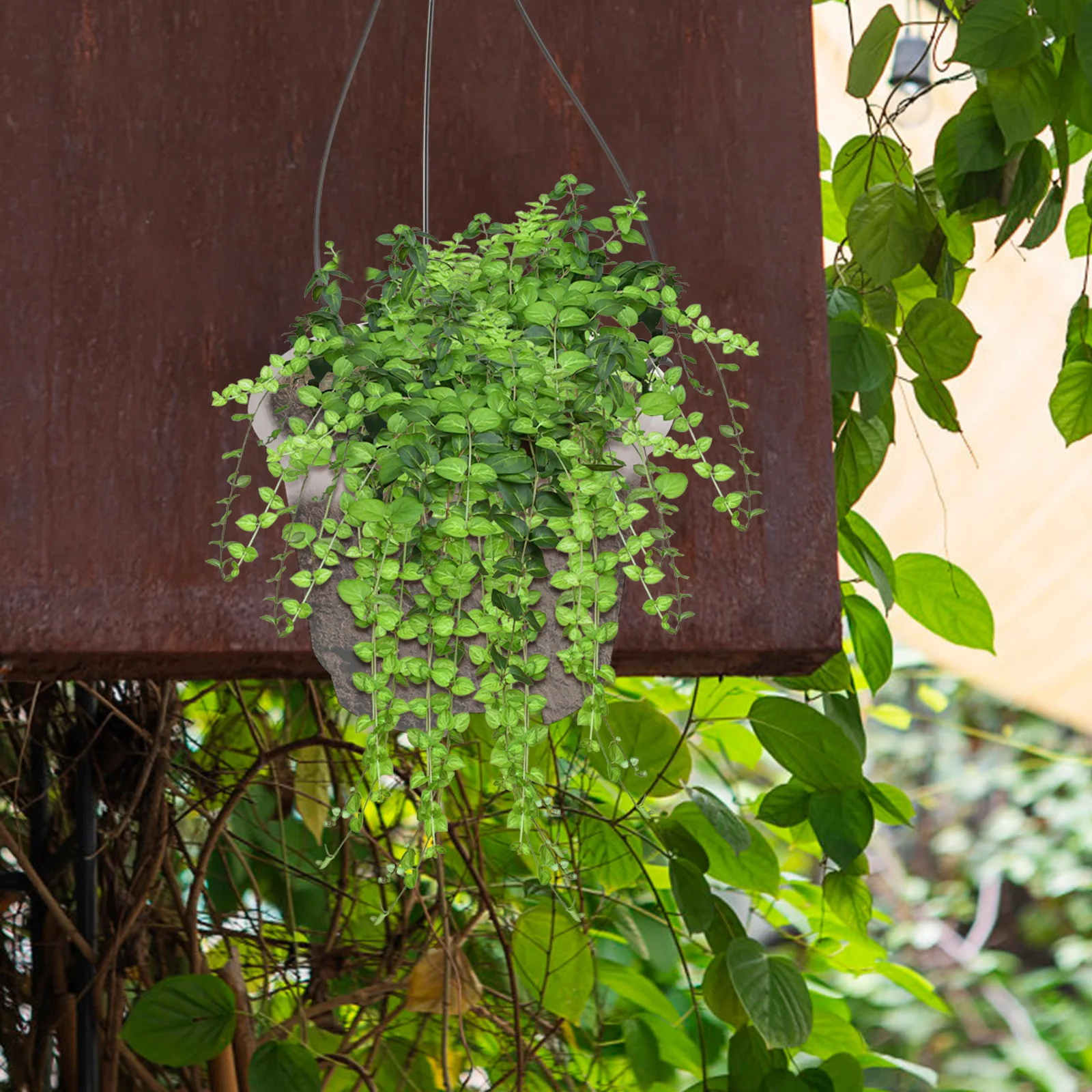 

4Sets Hanging Orchid Planters Breathable Plastic Flower Pot Indoor Balcony Hanging Basket Decorative Plant Pot