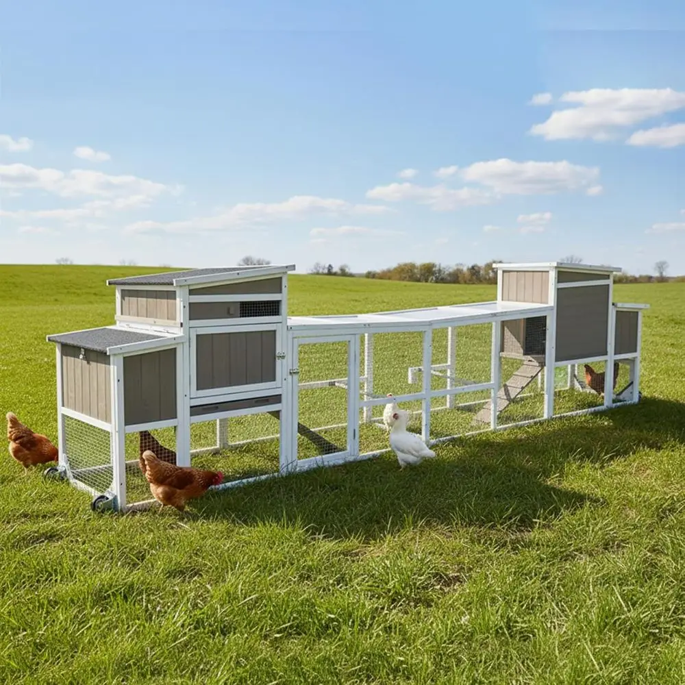 

Large 157 Mobile Chicken Coop with Run, 4-6 Chickens, Nesting Boxes, Removable Tray, UV-Protected, Suitable for Indoor & Outdoor