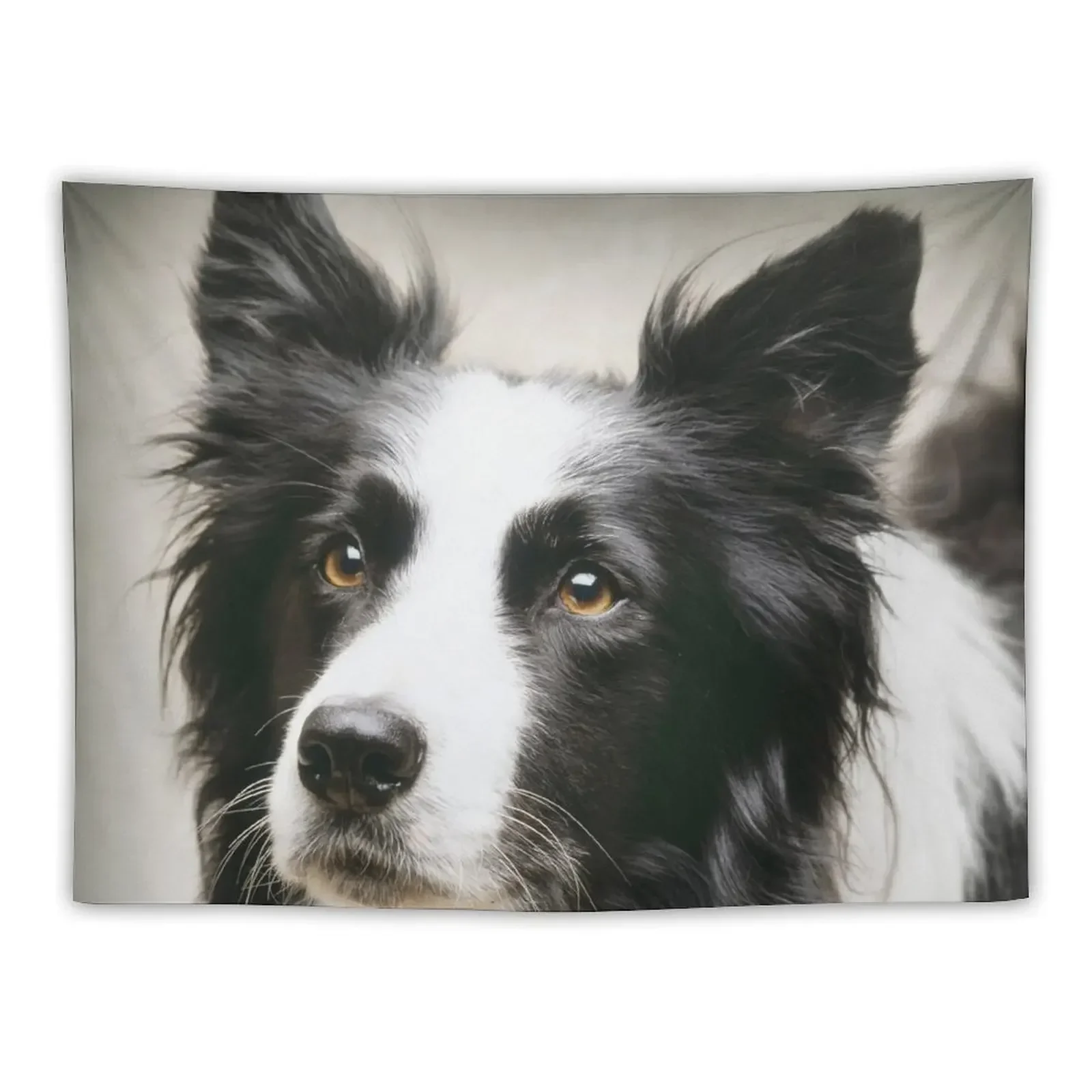 Working Border Collie Tapestry Bedrooms Decorations Cute Decor Tapestry