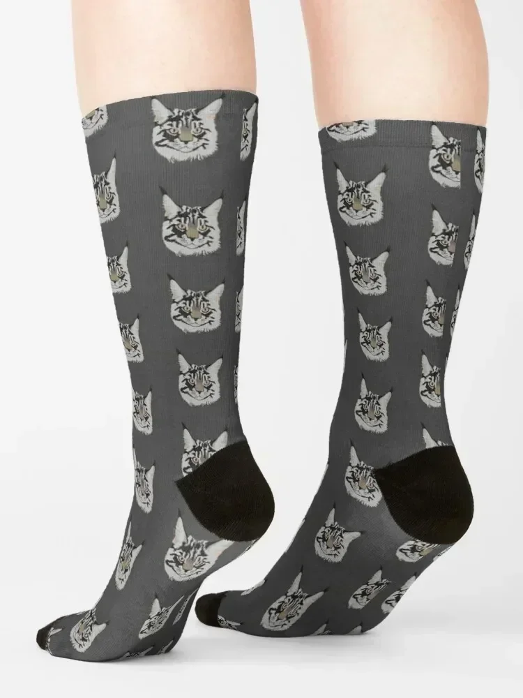 Denzel the Maine Coon Cat Socks cotton gift Argentina fashionable Socks Men's Women's