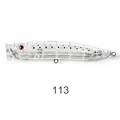 NSB113