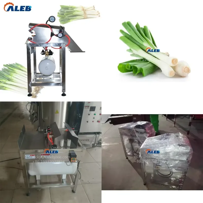 

SFW Certificate Spinach Dry Peeling Machine Green Onion Root Trimmer for Salad Factory Easy Operation Multifunctional