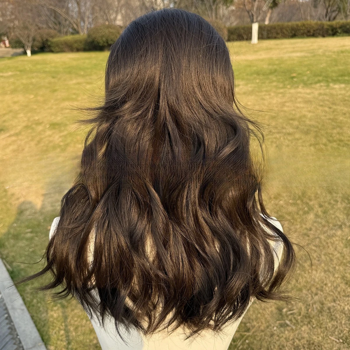 باروكة عصرية جديدة مقاس 20 بوصة باروكة حريرية تتحمل درجات الحرارة العالية للنساء شعر مستعار بني داكن #2