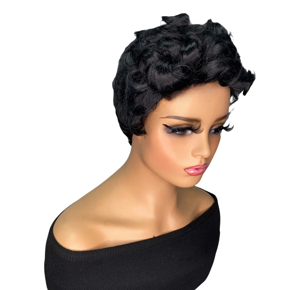 Synthetic Curly Wigs for Black Women Black Wig Short Afro Curly Hairstyles for Women Cosplay Hair