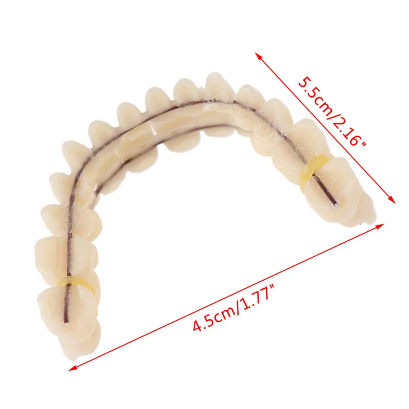 Universal Resin False Teeth Resin Model Double Row Plastic Dentures Oral Teaching Materials Dedicated Teeth Dental Lab Supplies