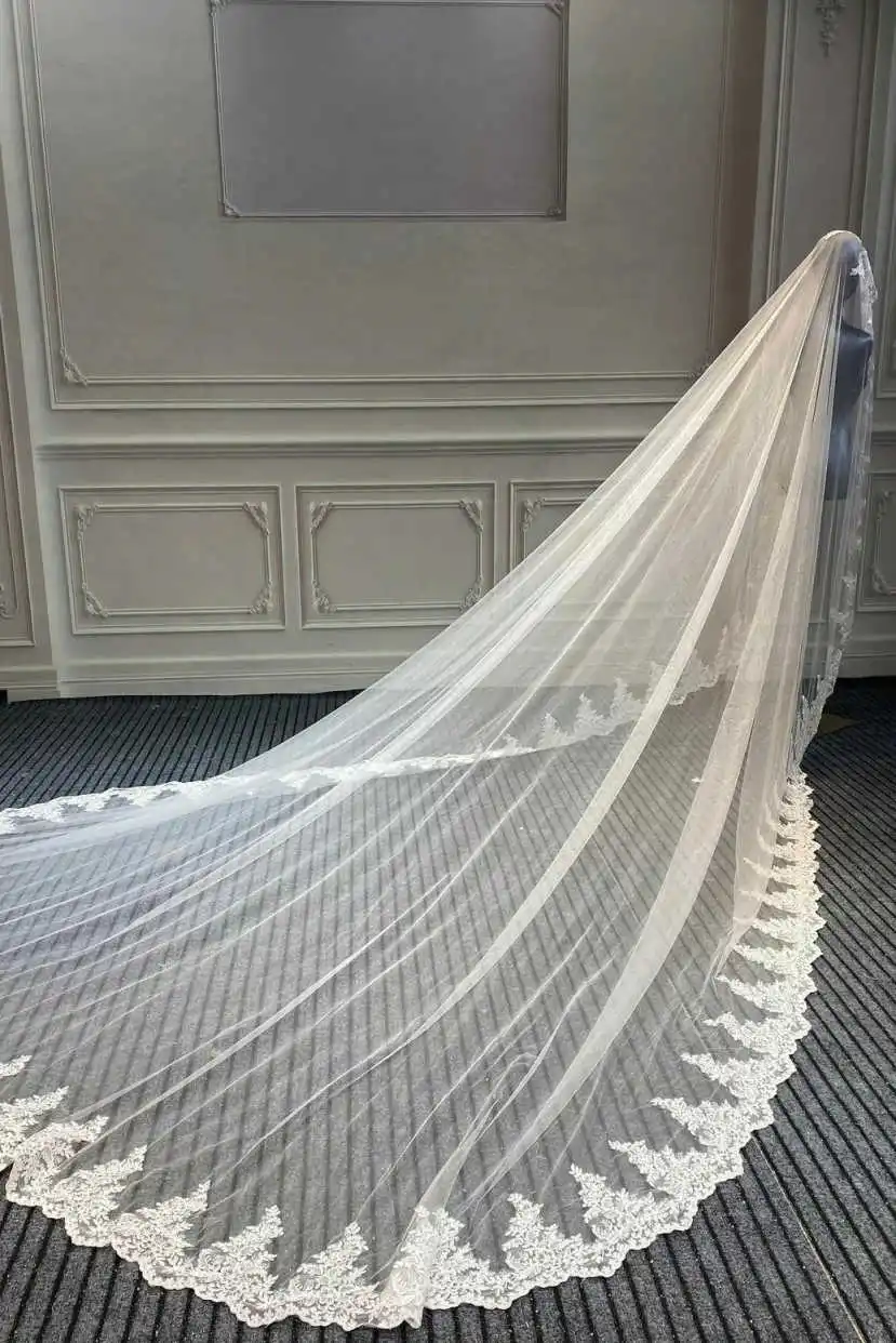 Simple  Appliques Lace Wedding Veil Cathedral Length One Layer Bridal Veils Applique Edge For Bride Velo De Cabeza Customized