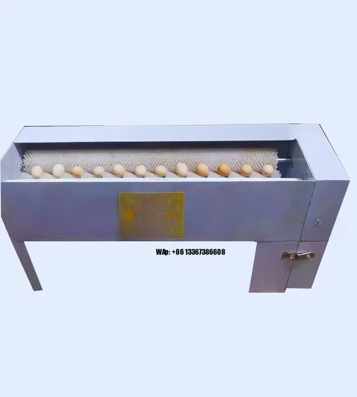 Equipamento de máquina de lavar escova de ovo de grau industrial Equipamento comercial de máquina de lavar ovos