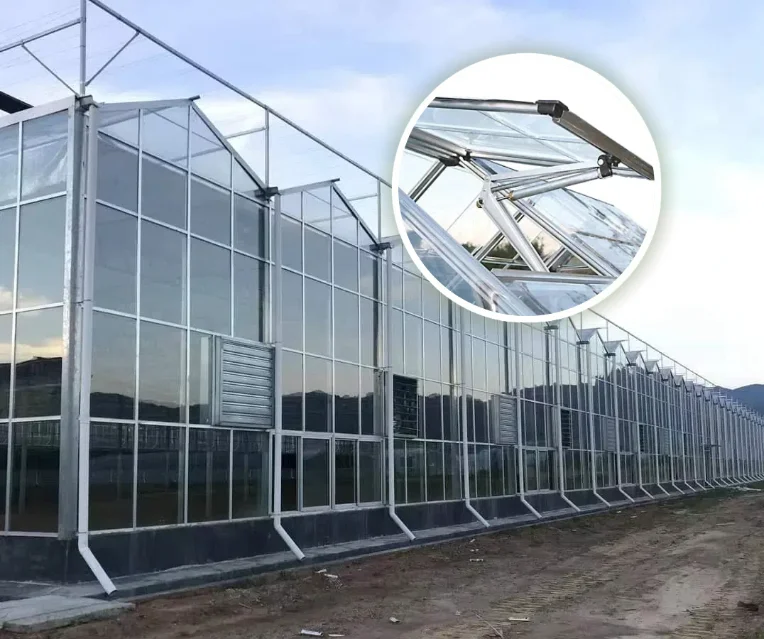 

Customized greenhouseSerre Agricole Glass Horticulture Flower Venlo Greenhouse Price Multispan Fiberglass Greenhouse with Coolin