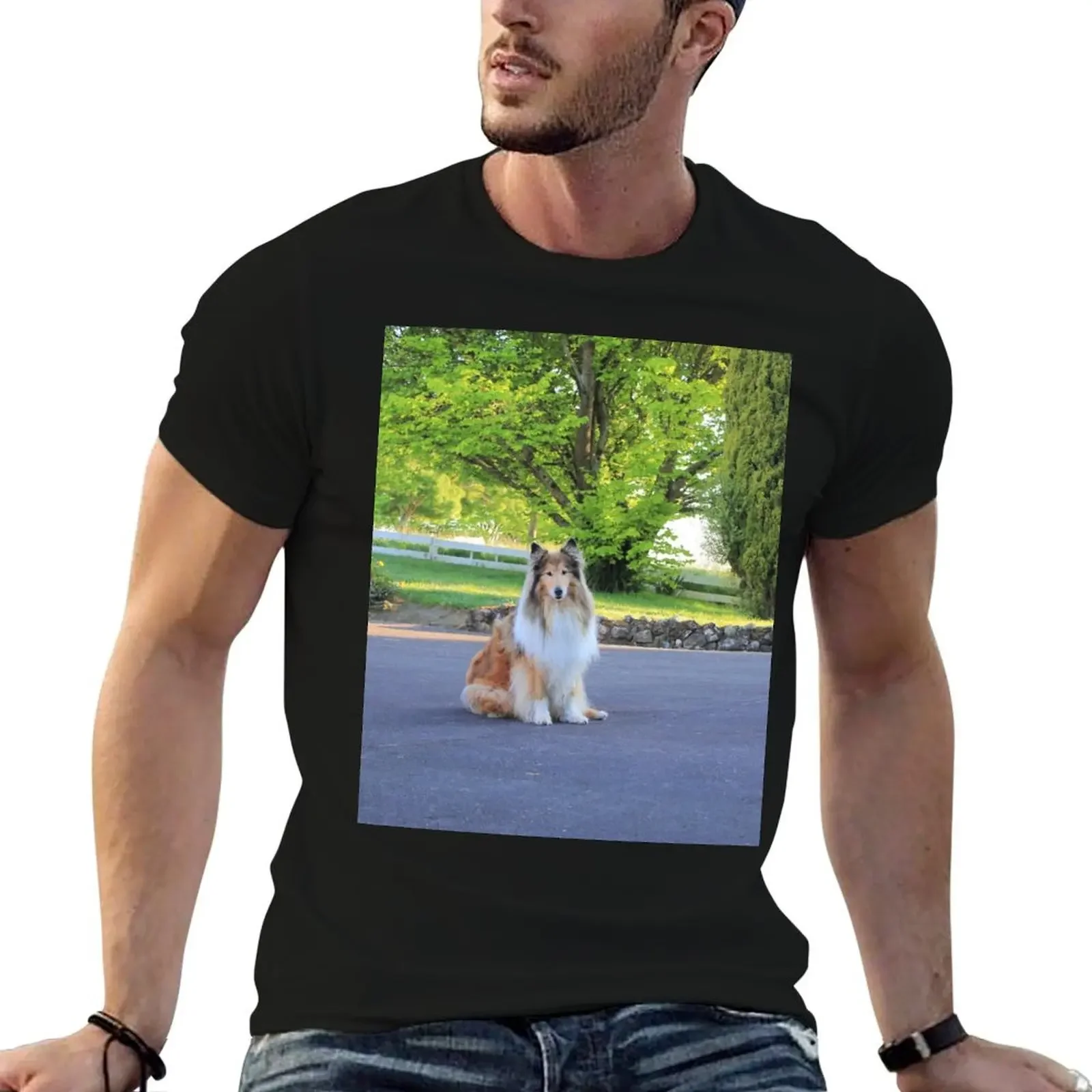 

Sitting Rough Collie T-Shirt summer clothes baggy shirts anime figures anime tshirt plain white t shirts men