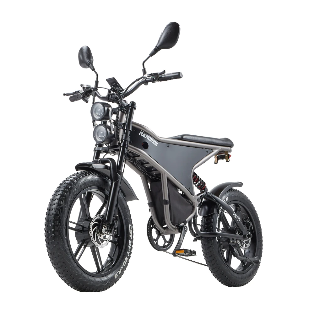 Electric Bike for Adults RANDRIDE DM711, 2000W Motor, 48V 20Ah Removable Lithium Battery, 20*4.0 inch Fat TireFull Suspension Electric Mountain Bike, Mechanical Brake, Long Range Off-Road Beach Snow Bicycle, 40-45KMH Max Speed