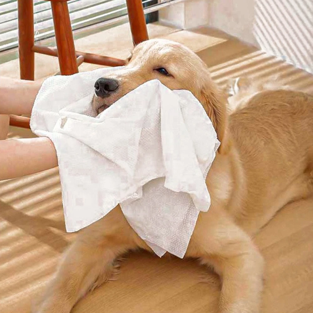 

1PC Disposable Pet Bath Towel Individually Packaged Clean Hygienic Disposable Thickened Cotton for Dog Cat Pet Supplies