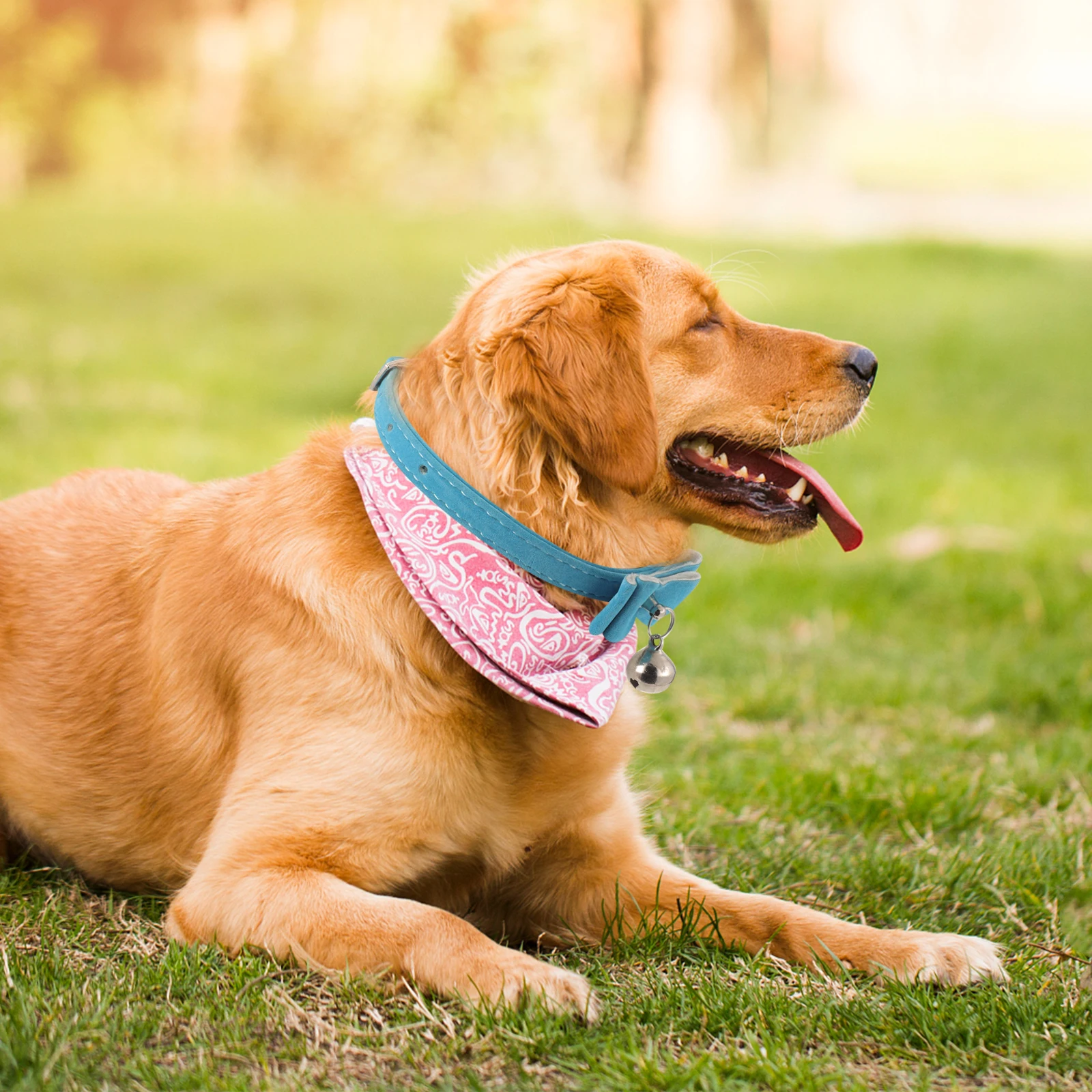 

4pcs Flocked Pet Collar Dog Cat Neck Bell Bowknot Puppy Collars Party Wedding Gift Small Animals Black Deep