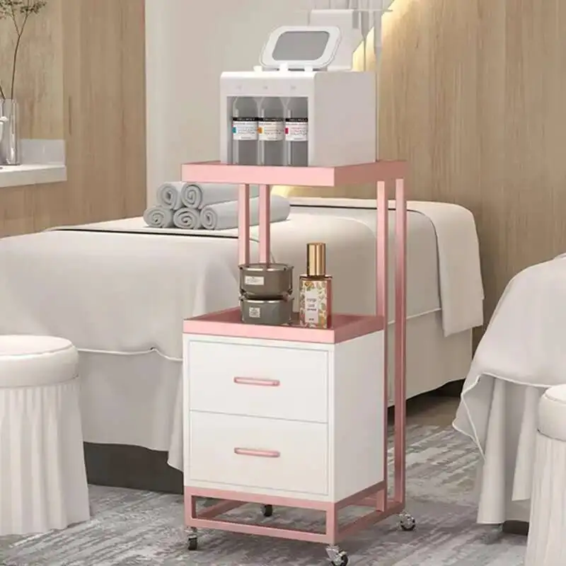 Stroller Foldable Styling Station Hair Cart TrolleySalon carrito estilistathe Beauty Cosmetic Wheels Equipment Furniture Storage