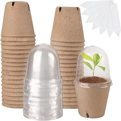 Seed Starter Biodegradable peat POTS, seedling planting POTS with labels, plant POTS with humidity domes