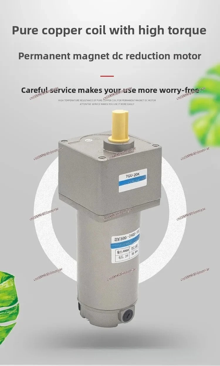 DC Brushed Geared Motor Large Torque 12v24V48v Adjustable Speed Forward and Reverse/torque Gear Micro Motor