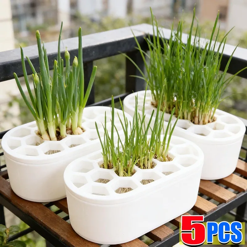 Hydroponic Green Onion Planter 3D Printed PLA Regrow Scallion Box Soilless Cultivation Tray Kitchen Counter Herb Growing Planter