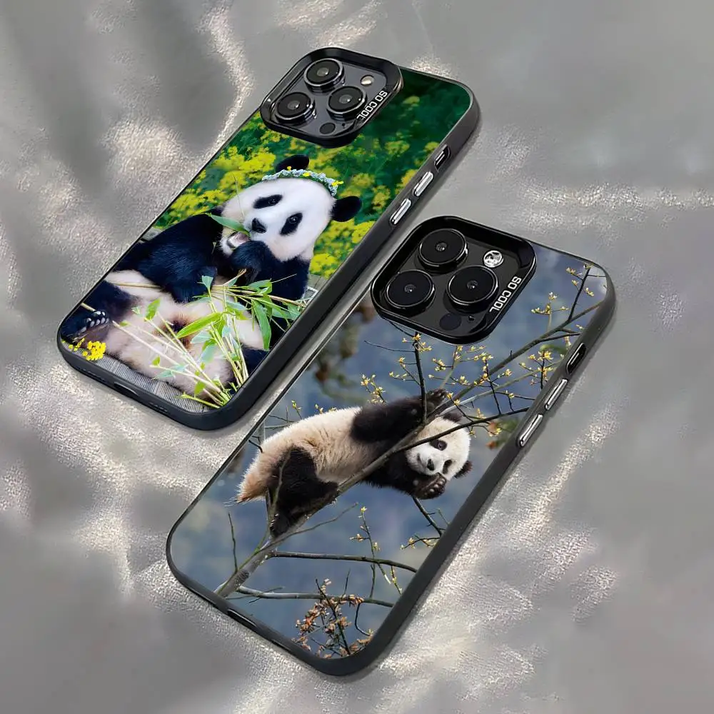 

Animal Panda Fubao For iPhone 17,16,15,14,13,12,11,Pro,MAX,Plus Black Shockproof Candy Matte Cover