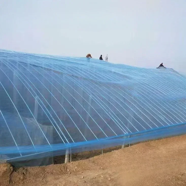 Sunscreen and Anti-aging Greenhouse Film Waterproof Blue High Transparency Films Thick Dust-proof Anti Fog Shed Plastic Cloth