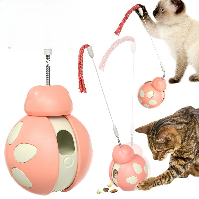 

Cat Toy Set with Feeder for Indoor Kittens Best Food Dispensing Toy