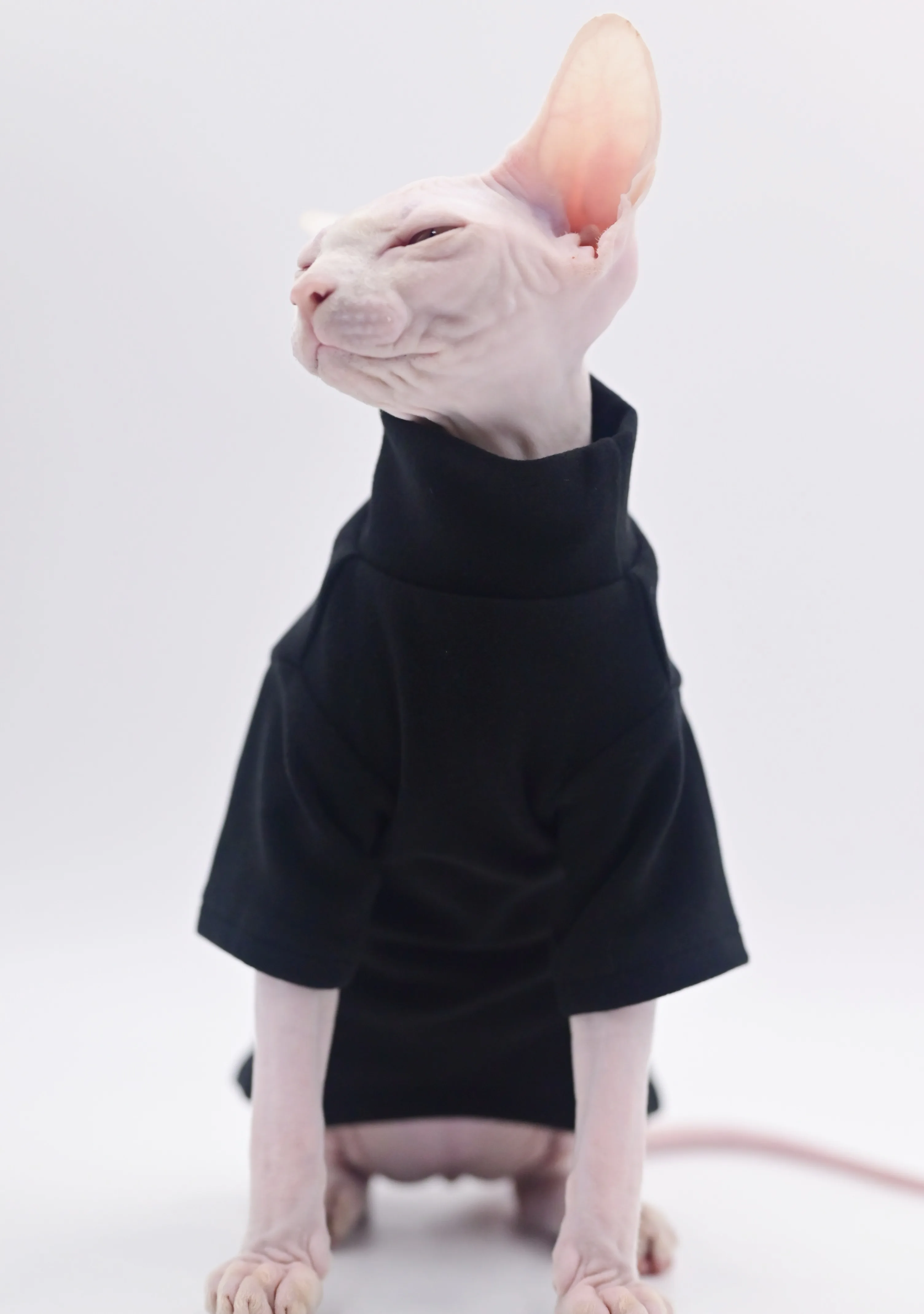 

Sphynx Cat Clothes Autumn Winter Thin Baby Cotton Base Hairless Cat Cat's Shirts kitten Shirts Cat Apparel for Devon Konis Abbey