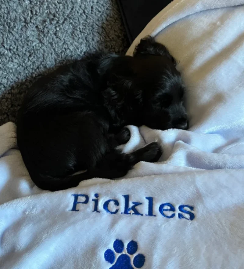 Personalised, Embroidered Dog/Cat Puppy/Kitten Blanket. Can Be Plain, With Paw Print Only Or With Paw Print And Your Pet\'s Name