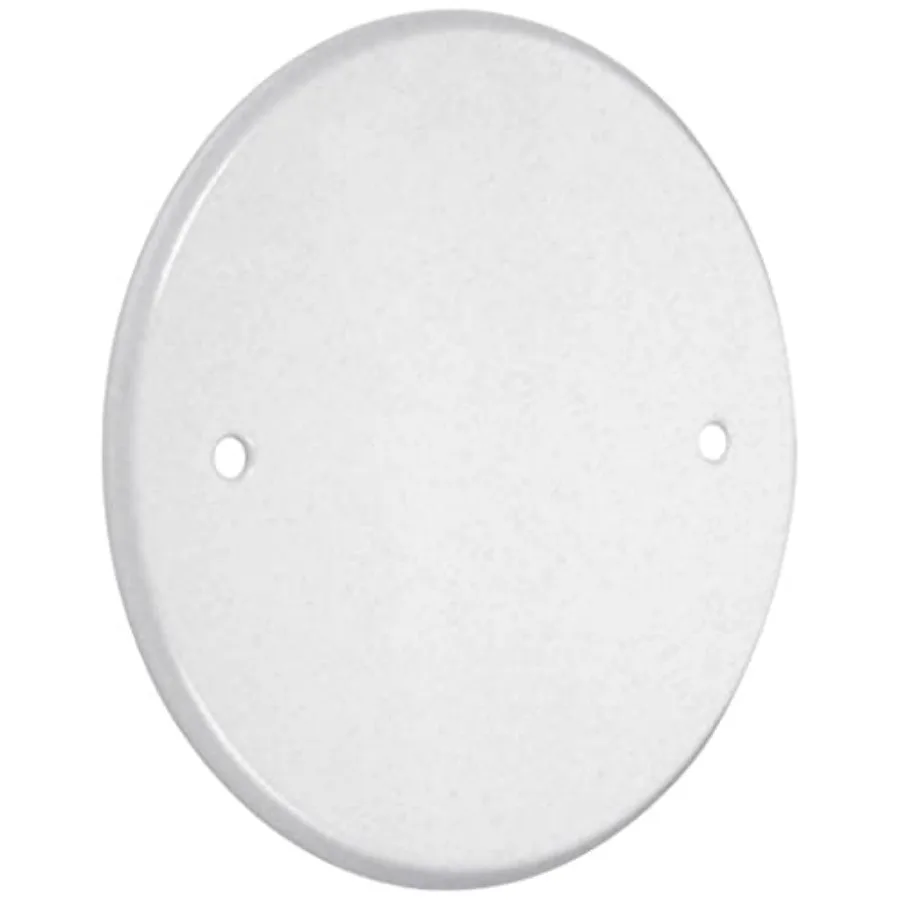 

LPB300 Flat Round Blank Plate Metallic 5 -., White Fish