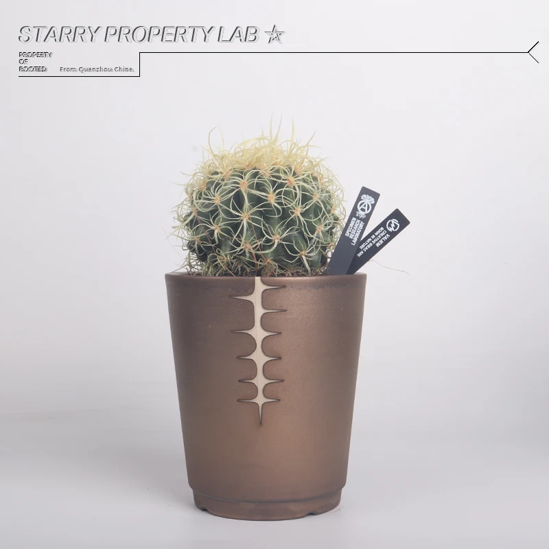 Imagem -02 - Nbhd Sryz Trendy Tuber Plant Pot Cactus Ball Hood pé de Elefante Tigela de Plantio de Árvore de Verão