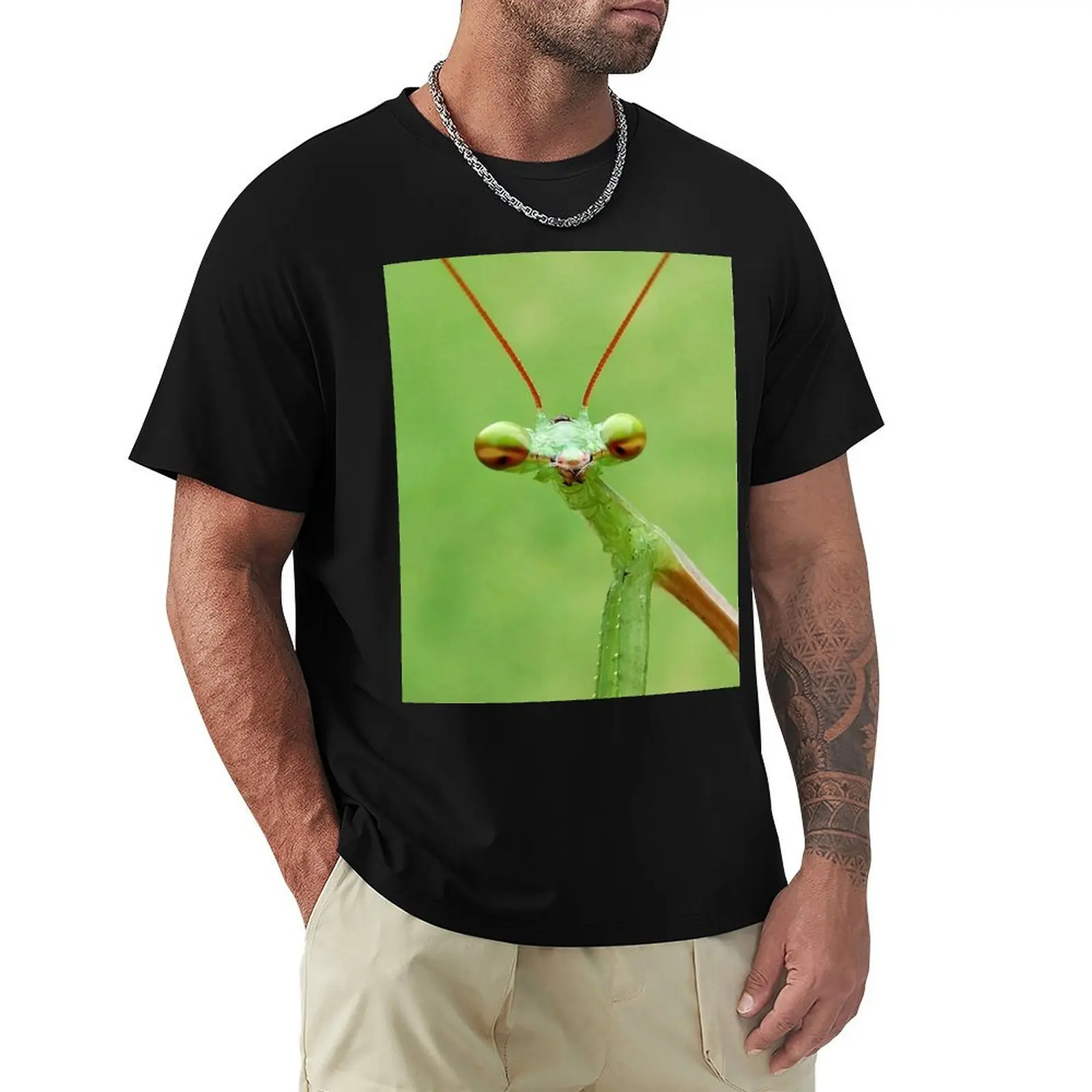 Praying Mantis T-Shirt Minimalist Graphic Tee Shirt
