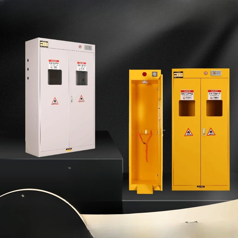 Double bottle all-steel explosion-proof gas cylinder cabinet Safety cabinet Acetylene argon gas cylinder holder Gas cabinet