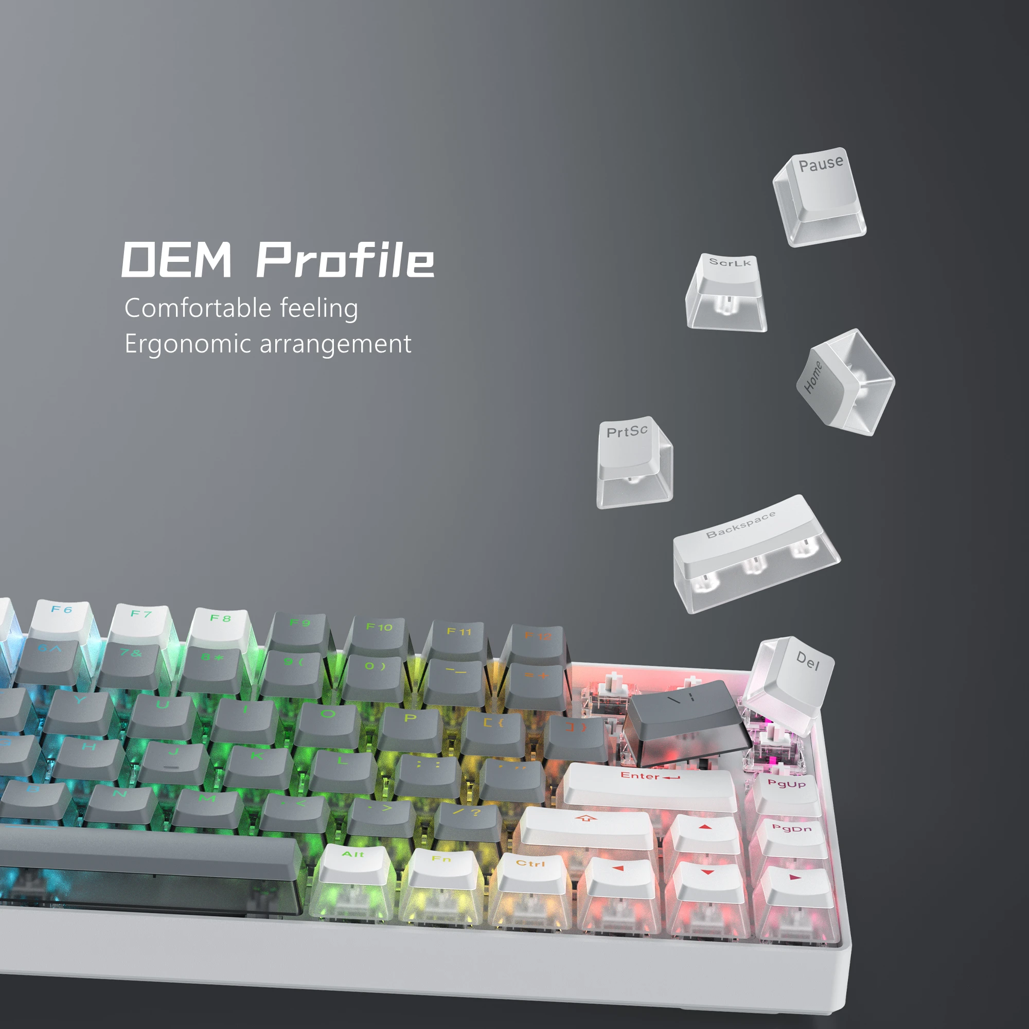 165 Key PBT Pudding Keycaps Wit Grijs Set OEM Profiel Double Shot Keycap voor GK61/Anne Pro 2 Womier Mechanisch Gaming Toetsenbord