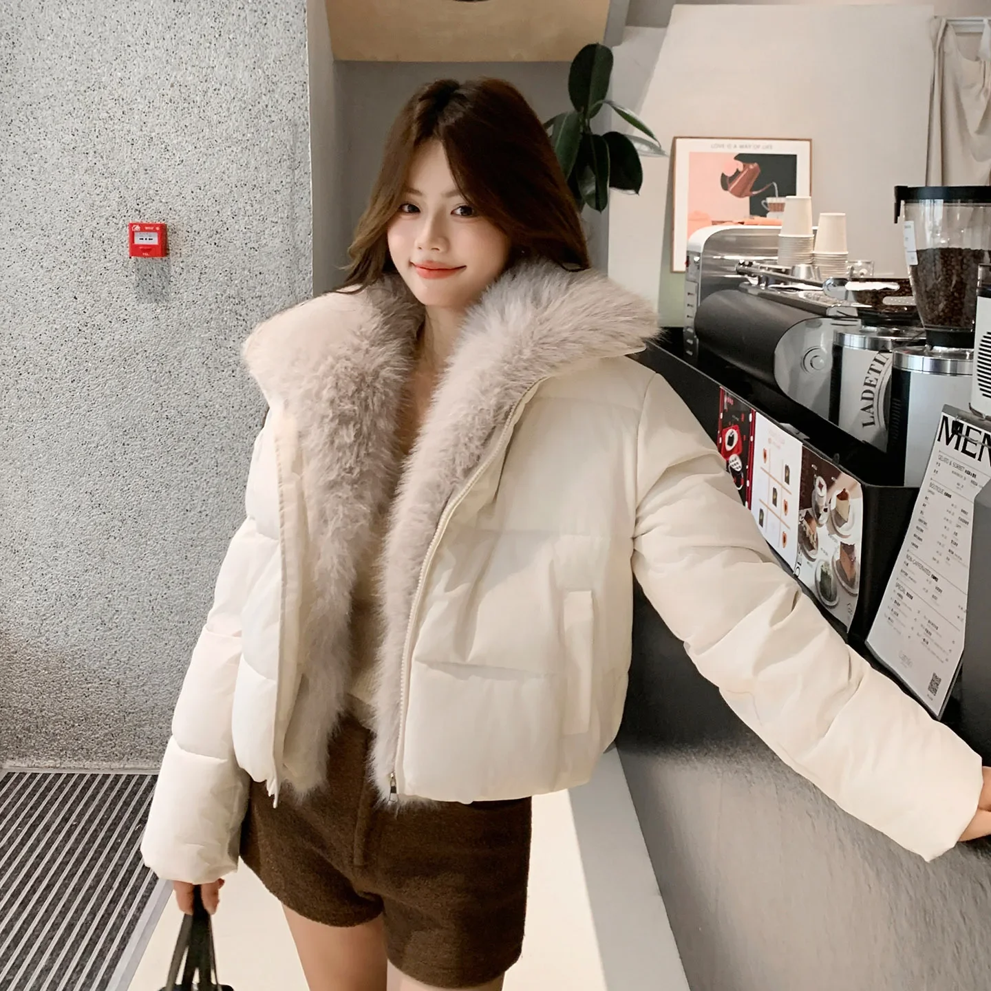 Cropped Puffer Jacket Women Big Faux Fur Collar Fur Lined Zipper Closure Boxy Silhouette Trendy Short Winter Outerwear