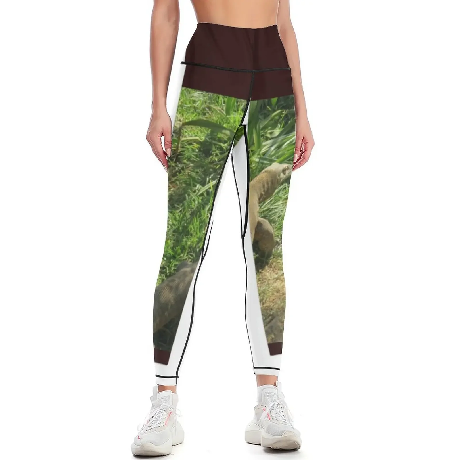 

Komodo Dragon Shirt And Acessories. Leggings for physical Women's pants sportswear gym sports shirts gym Womens Leggings