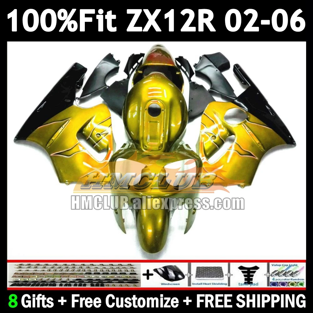 Injection For KAWASAKI NINJA ZX 12R 12 ZX-12R 2002 light golden 2003 2004 2005 2006 177No.73 1200CC ZX12R 02 03 04 05 06 Fairing