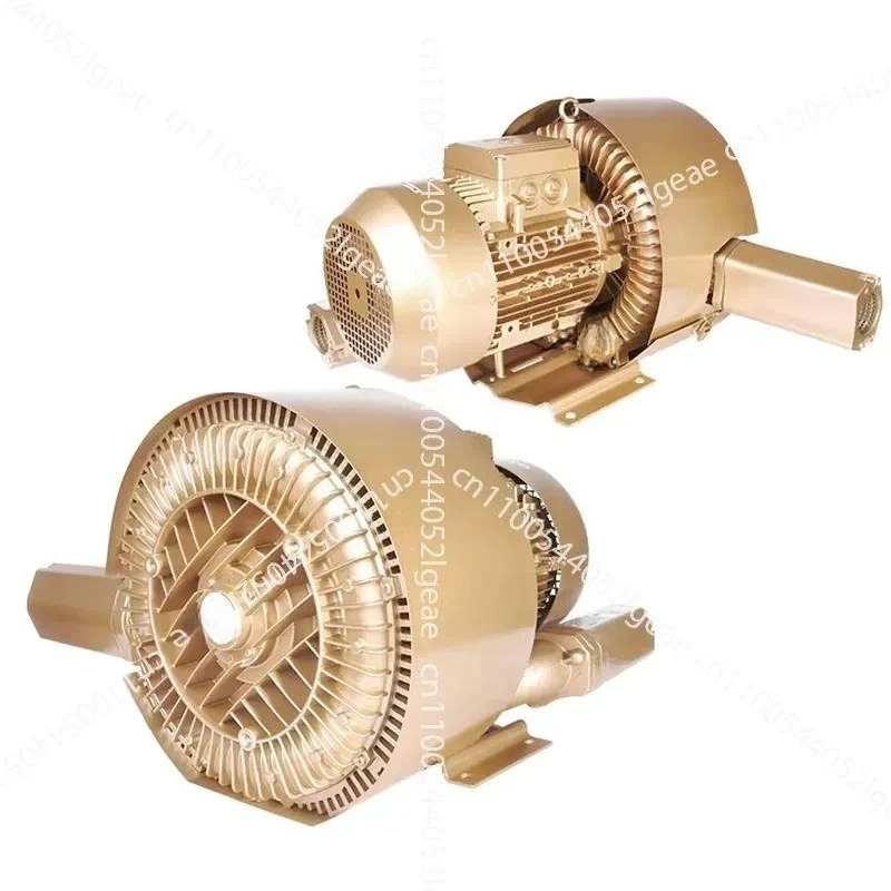 Double Soladores Regeneration Blower  Side Channel Blower
