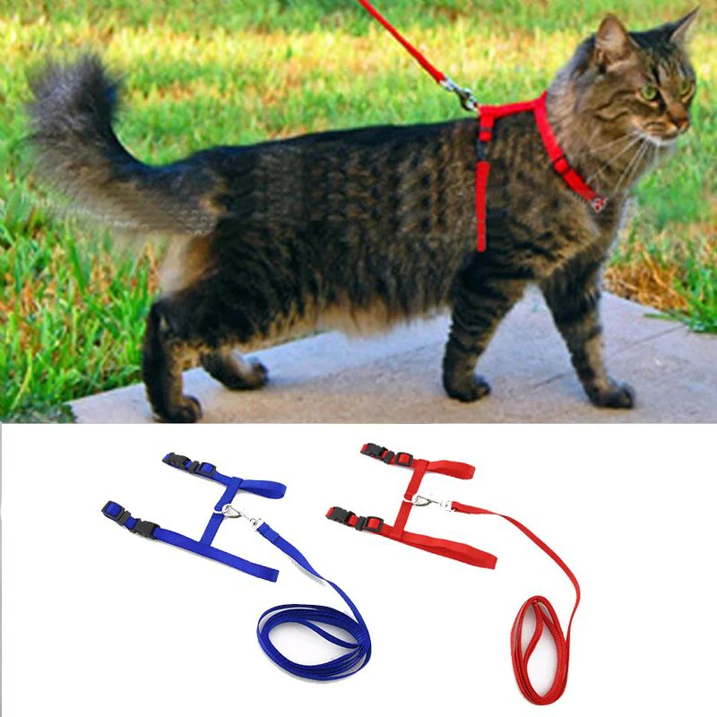 Cute Pet Chest Strap Outdoor Adjustable Breathable Cat Leash Leash Portable Pet Training Cat And Dog Walking Device